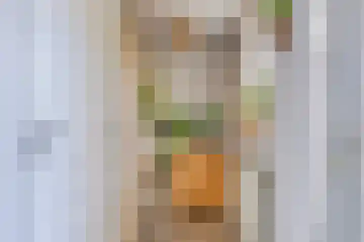 Prinses Beatrixlaan 1 Nieuwendijk thumbnail 12