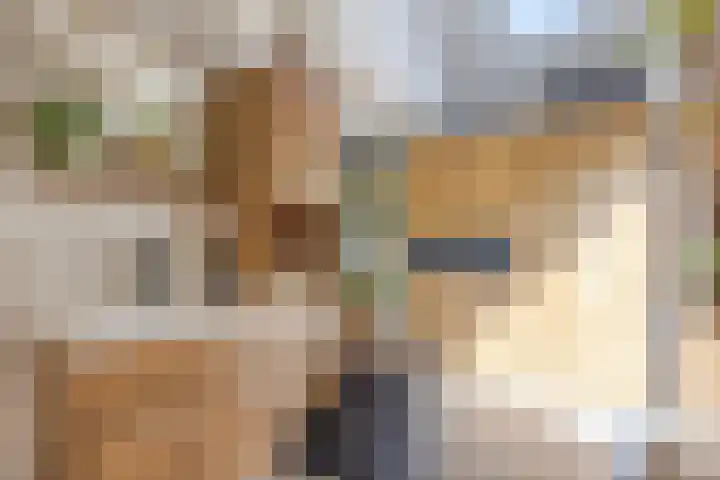 Prinses Beatrixlaan 1 Nieuwendijk thumbnail 17