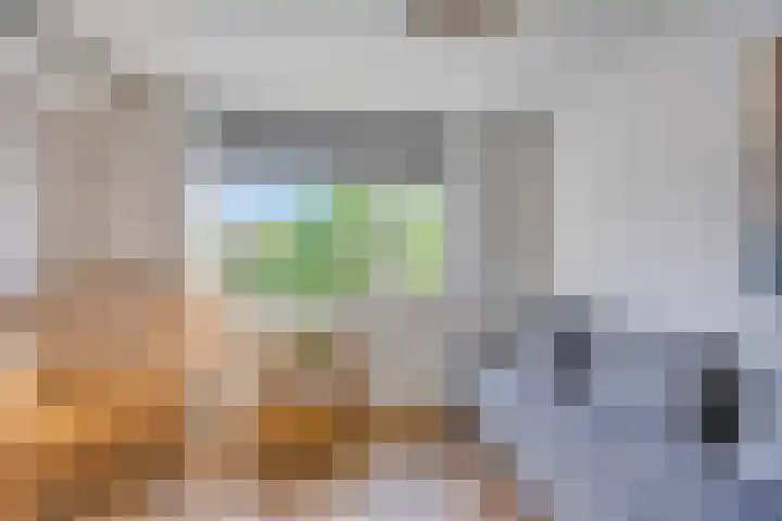 Prinses Beatrixlaan 1 Nieuwendijk thumbnail 20