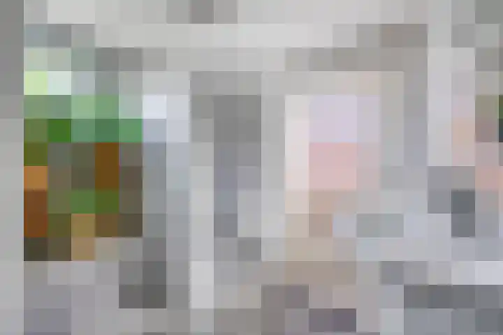 Prinses Beatrixlaan 1 Nieuwendijk thumbnail 21