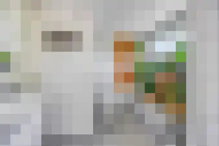 Prinses Beatrixlaan 1 Nieuwendijk thumbnail 22
