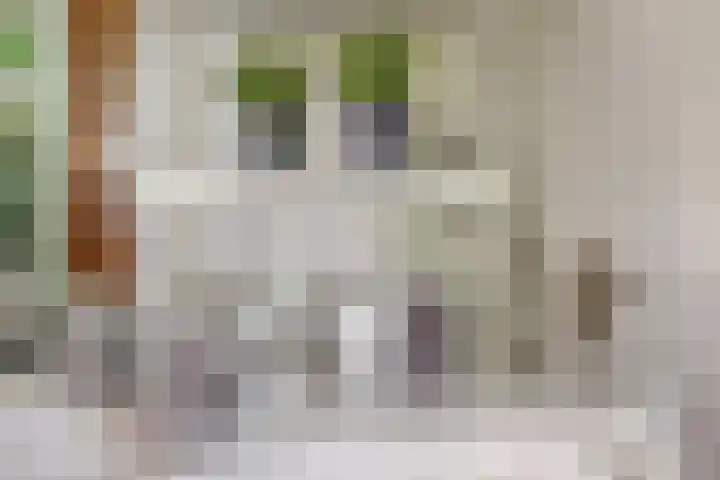 Prinses Beatrixlaan 1 Nieuwendijk thumbnail 24