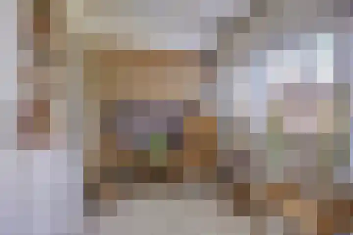 Prinses Beatrixlaan 1 Nieuwendijk thumbnail 25