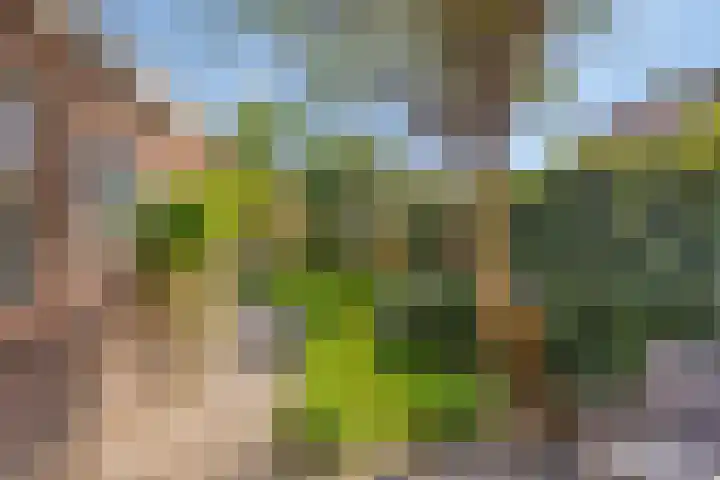 Prinses Beatrixlaan 1 Nieuwendijk thumbnail 27