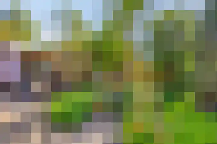 Prinses Beatrixlaan 1 Nieuwendijk thumbnail 28