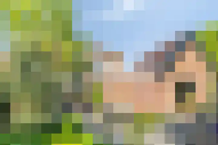 Prinses Beatrixlaan 1 Nieuwendijk thumbnail 31