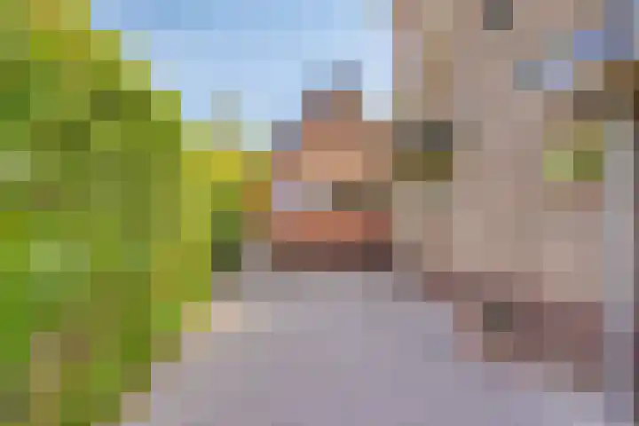 Prinses Beatrixlaan 1 Nieuwendijk thumbnail 33