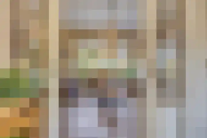 Prinses Beatrixlaan 1 Nieuwendijk thumbnail 4