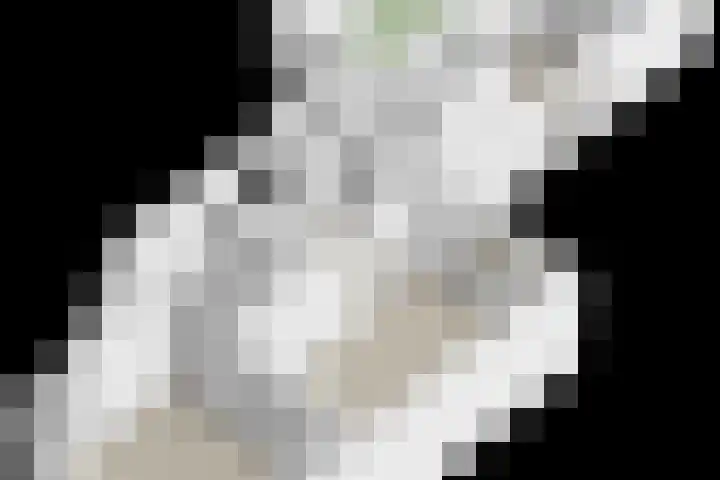 Prinses Beatrixlaan 1 Nieuwendijk thumbnail 43