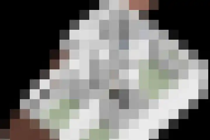Prinses Beatrixlaan 1 Nieuwendijk thumbnail 44