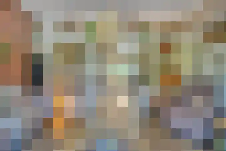 Prinses Beatrixlaan 1 Nieuwendijk thumbnail 7
