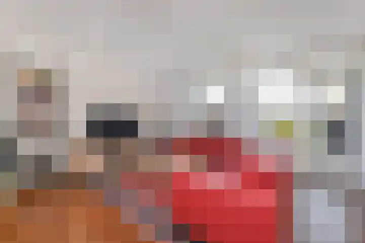 Prinses Beatrixlaan 128 Rijswijk thumbnail 14