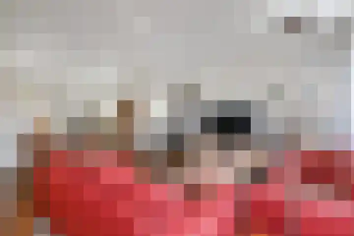 Prinses Beatrixlaan 128 Rijswijk thumbnail 15
