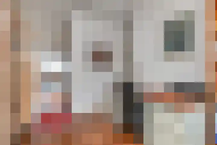 Prinses Beatrixlaan 128 Rijswijk thumbnail 24