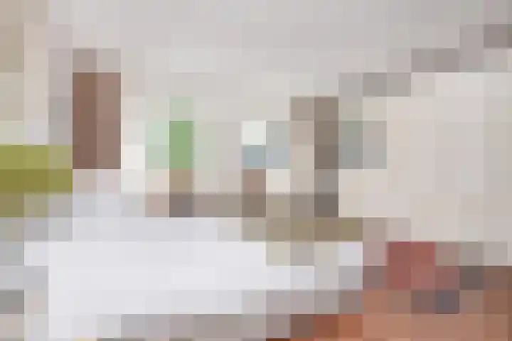 Prinses Beatrixlaan 128 Rijswijk thumbnail 26