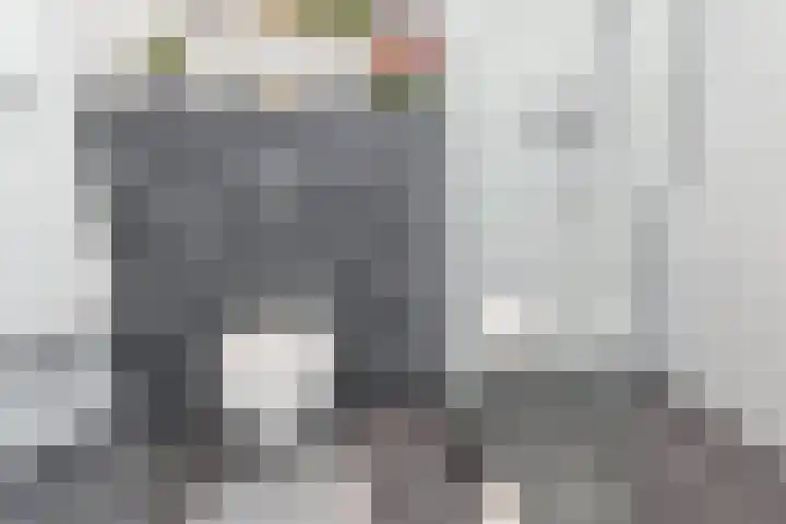 Prinses Beatrixlaan 128 Rijswijk thumbnail 34