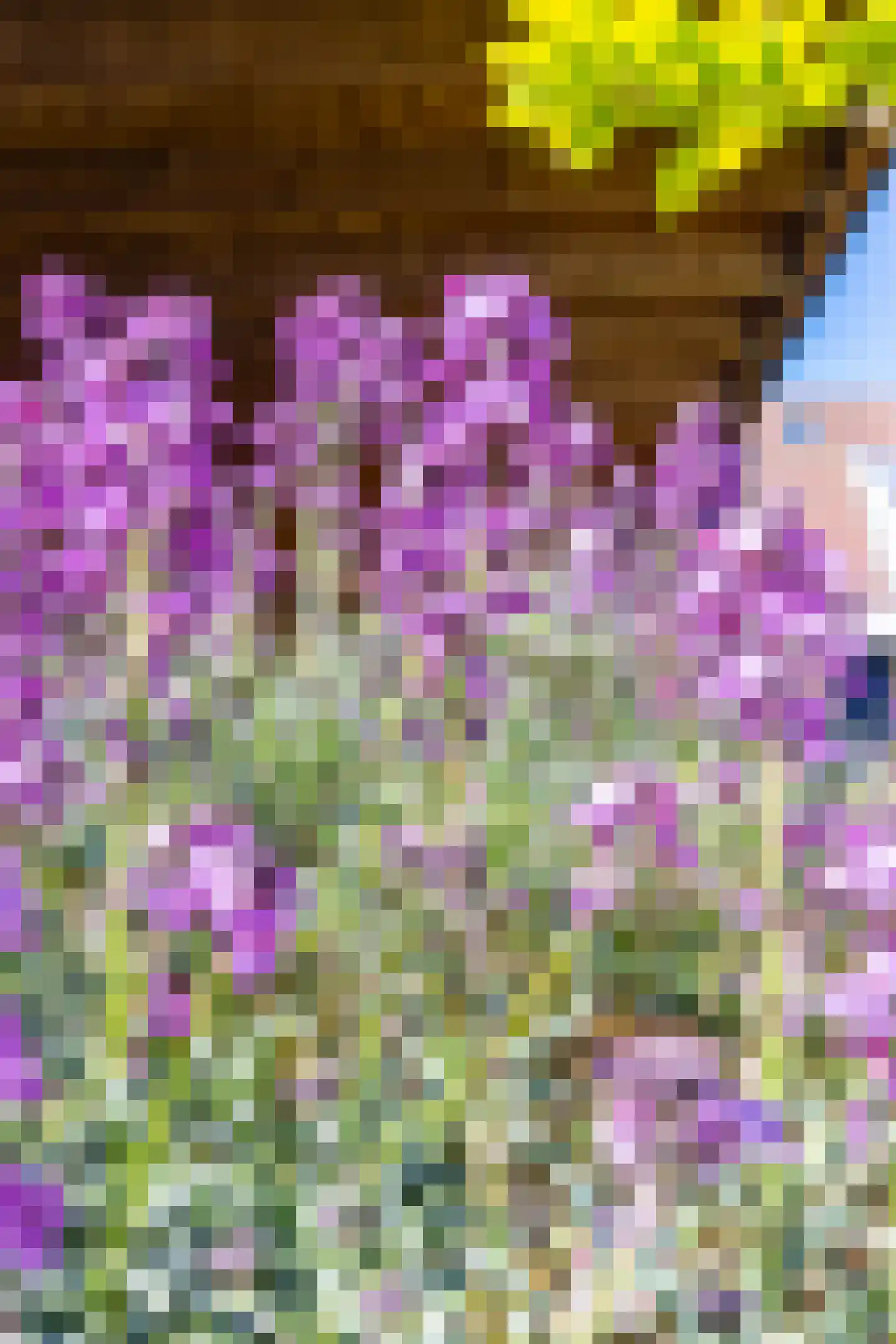 Prinses Beatrixlaan 14 Nieuwendijk thumbnail 56