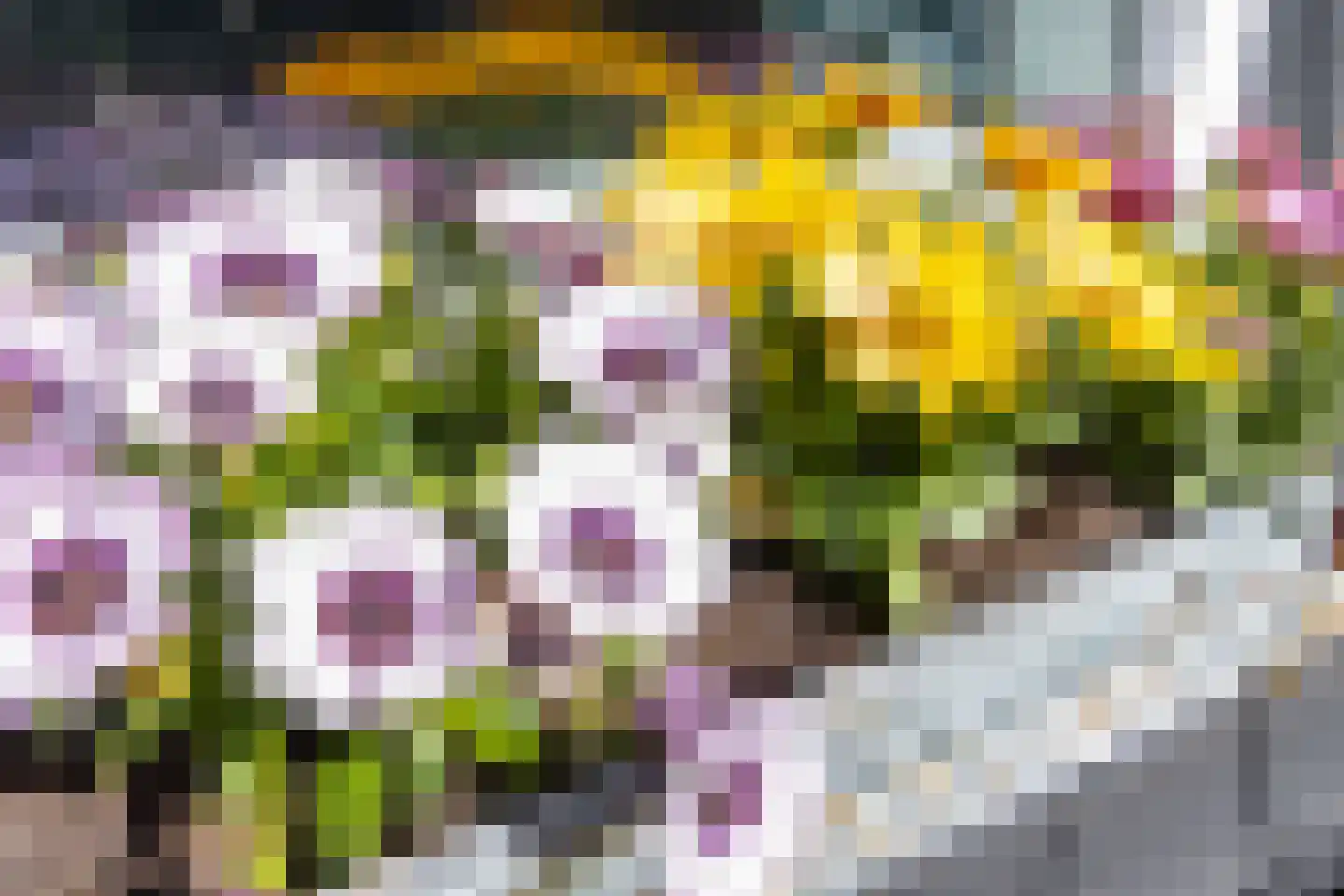 Prinses Beatrixlaan 14 Nieuwendijk thumbnail 57