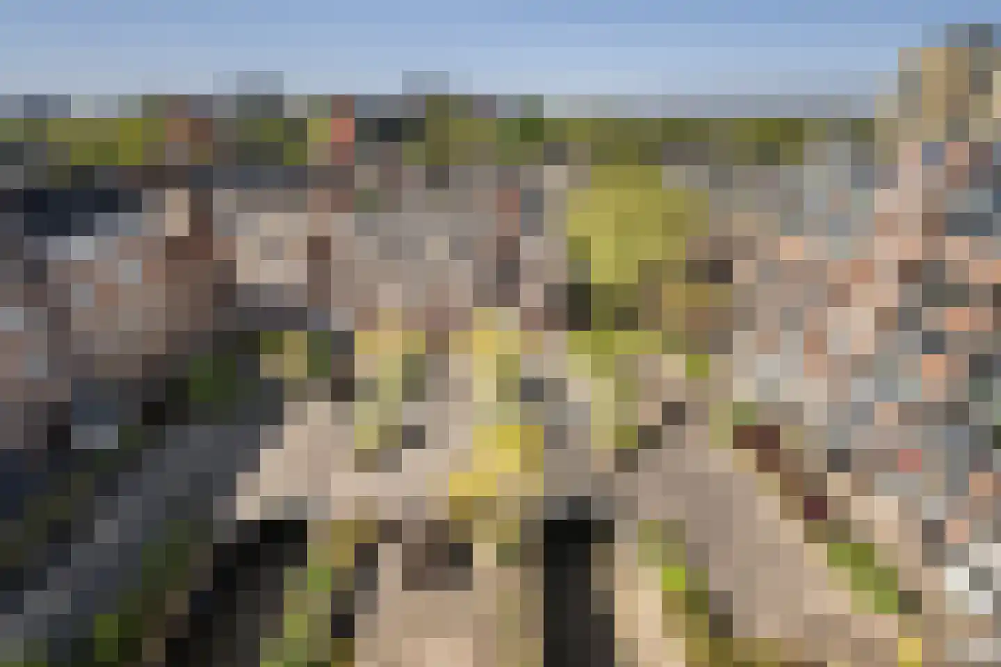 Prinses Beatrixlaan 146 Rijswijk thumbnail 11