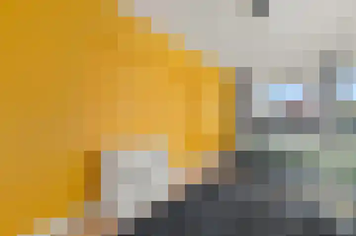 Prinses Beatrixlaan 156 Rijswijk thumbnail 22