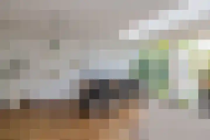 Prinses Beatrixlaan 17 Oegstgeest thumbnail 12