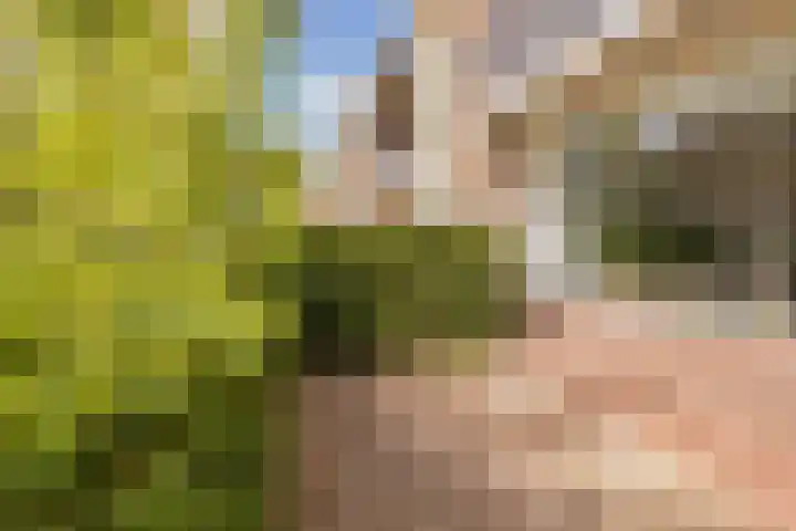 Prinses Beatrixlaan 17 Oegstgeest thumbnail 50