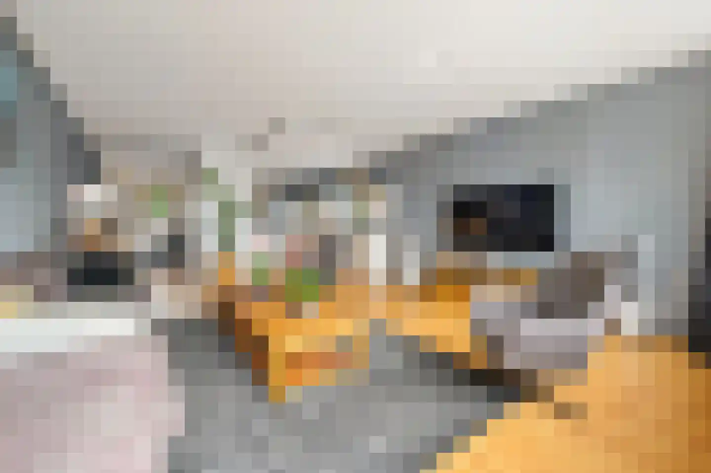 Prinses Beatrixlaan 180 Rijswijk thumbnail 8
