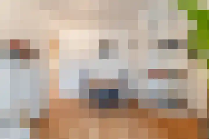 Prinses Beatrixlaan 28 Diemen thumbnail 9