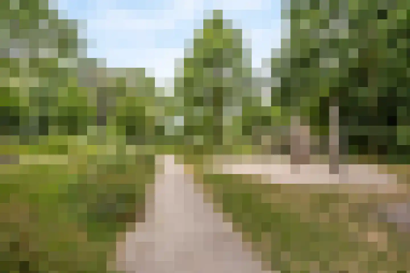 Prinses Beatrixlaan 292 Voorburg thumbnail 28
