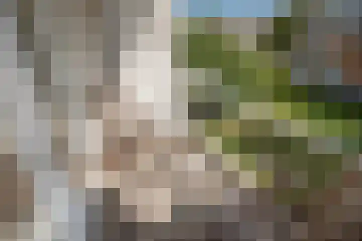 Prinses Beatrixlaan 294 Voorburg thumbnail 21