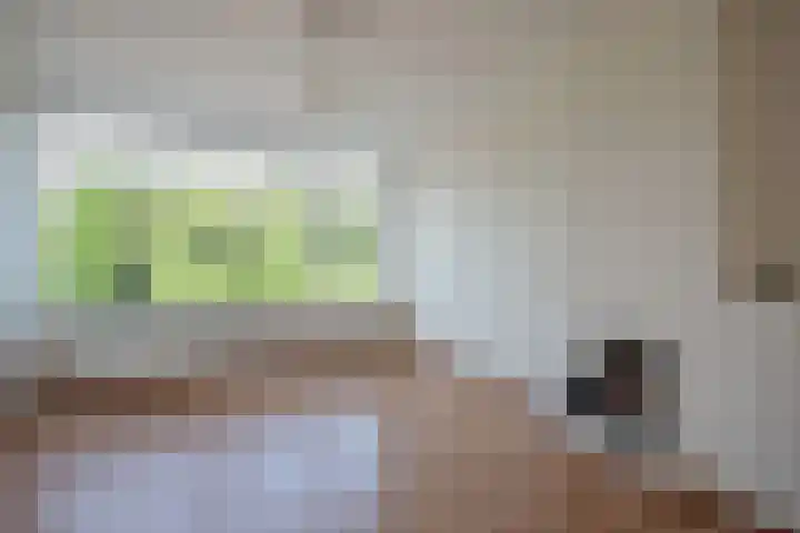 Prinses Beatrixlaan 294 Voorburg thumbnail 5