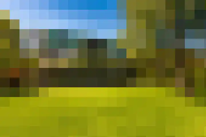 Prinses Beatrixlaan 3 0001 Baarn thumbnail 30