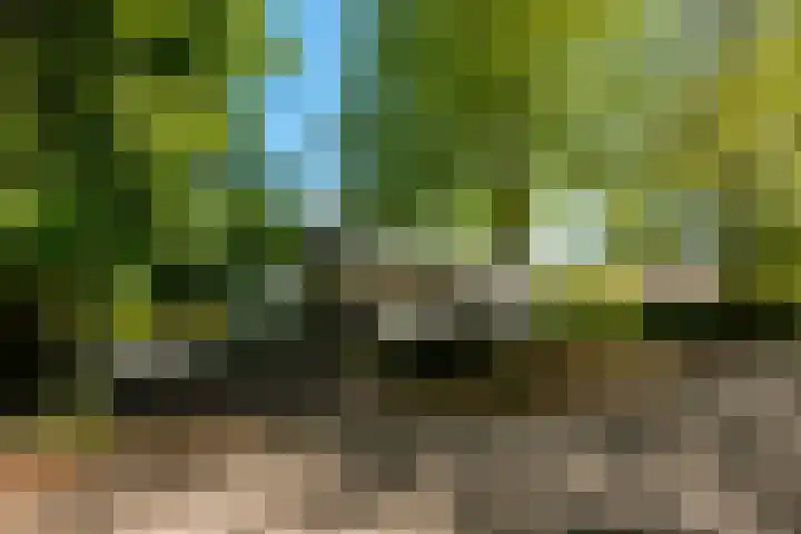 Prinses Beatrixlaan 3 0001 Baarn thumbnail 33