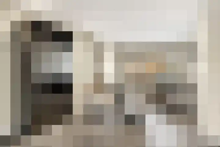 Prinses Beatrixlaan 3 Maartensdijk thumbnail 12