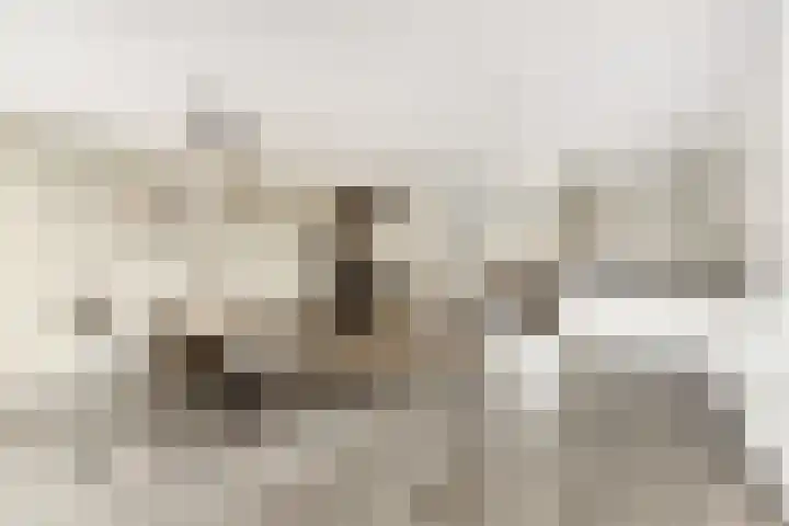 Prinses Beatrixlaan 3 Maartensdijk thumbnail 13