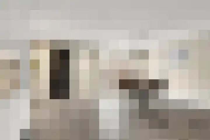Prinses Beatrixlaan 3 Maartensdijk thumbnail 14