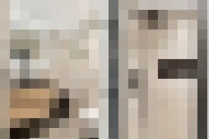 Prinses Beatrixlaan 3 Maartensdijk thumbnail 26