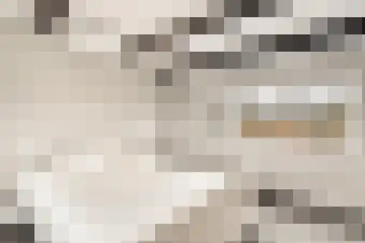 Prinses Beatrixlaan 3 Maartensdijk thumbnail 34