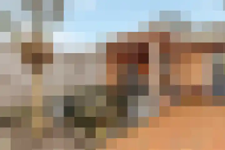 Prinses Beatrixlaan 3 Maartensdijk thumbnail 4