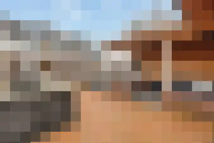 Prinses Beatrixlaan 3 Maartensdijk thumbnail 7