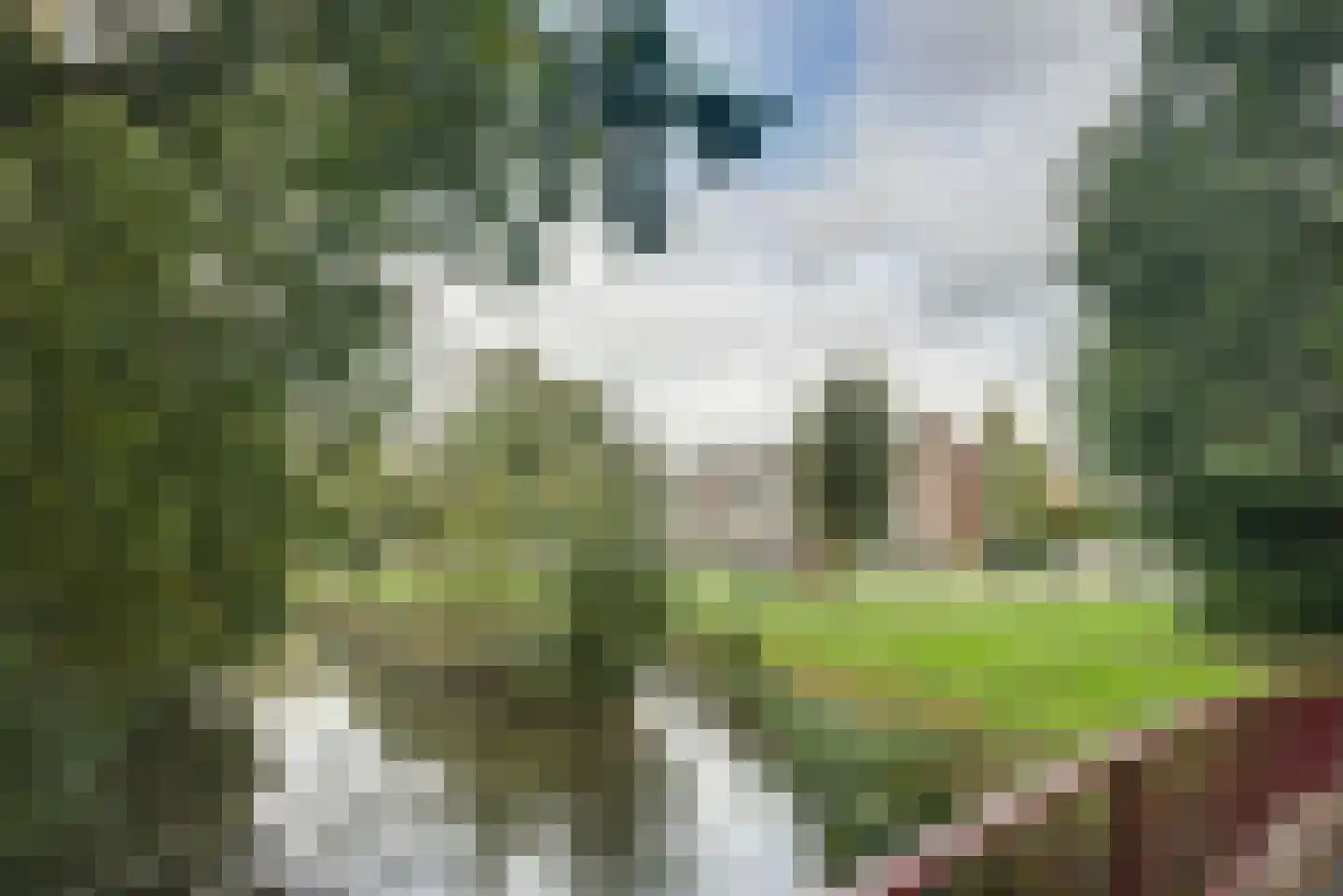 Prinses Beatrixlaan 370 Voorburg thumbnail 58