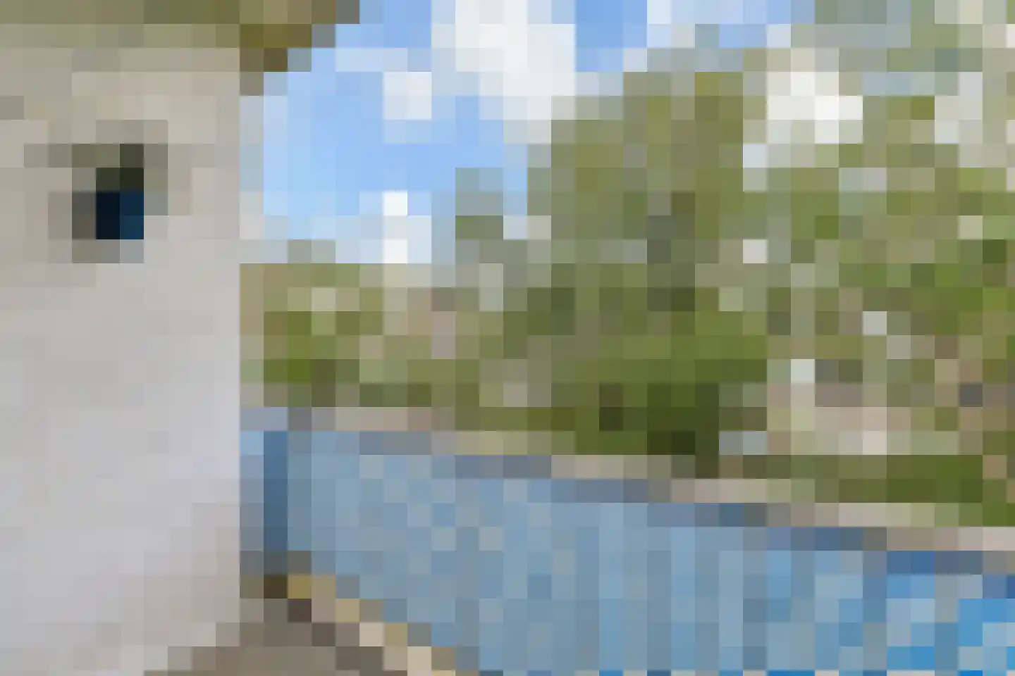 Prinses Beatrixlaan 390 Voorburg thumbnail 23