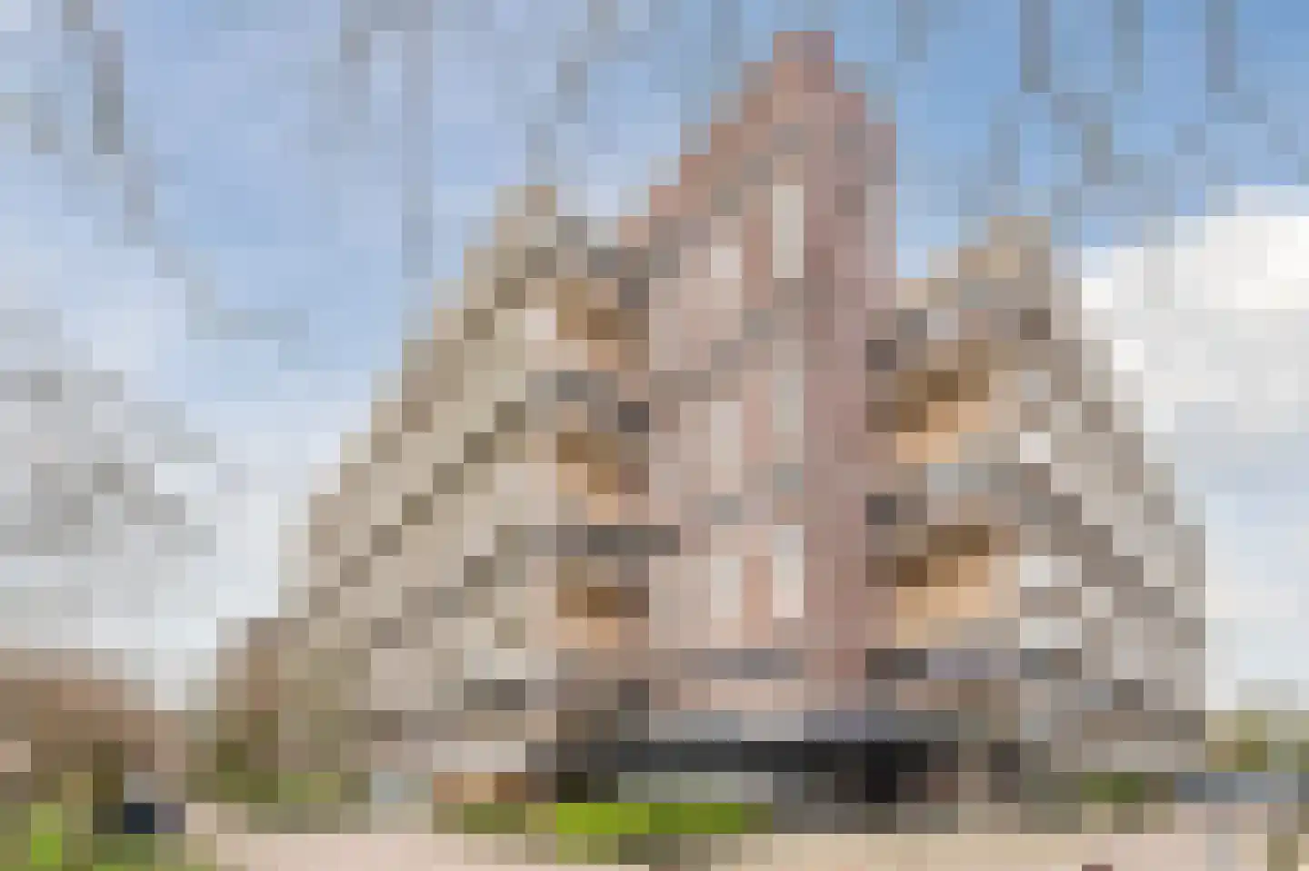 Prinses Beatrixlaan 393 Rijswijk thumbnail 21