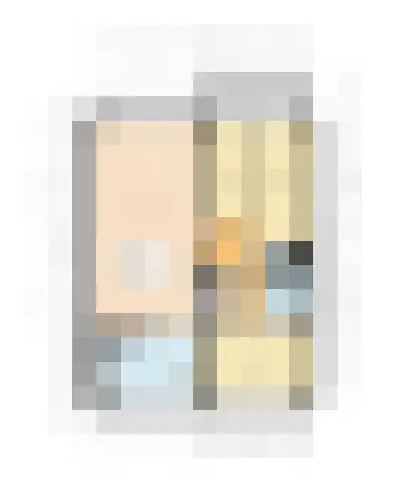 Prinses Beatrixlaan 419 Rijswijk thumbnail 44
