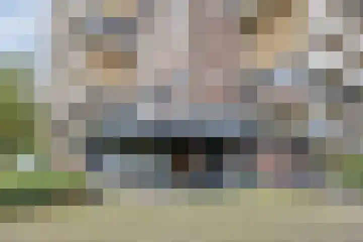 Prinses Beatrixlaan 431 Rijswijk thumbnail 27