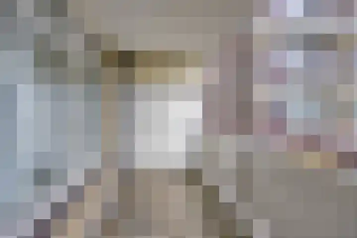 Prinses Beatrixlaan 431 Rijswijk thumbnail 7