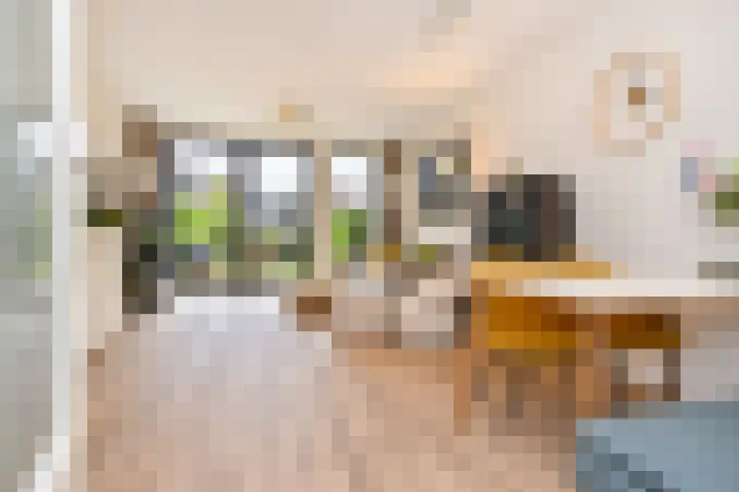 Prinses Beatrixlaan 435 Voorburg thumbnail 17
