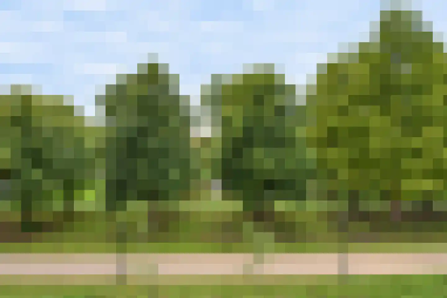 Prinses Beatrixlaan 435 Voorburg thumbnail 51