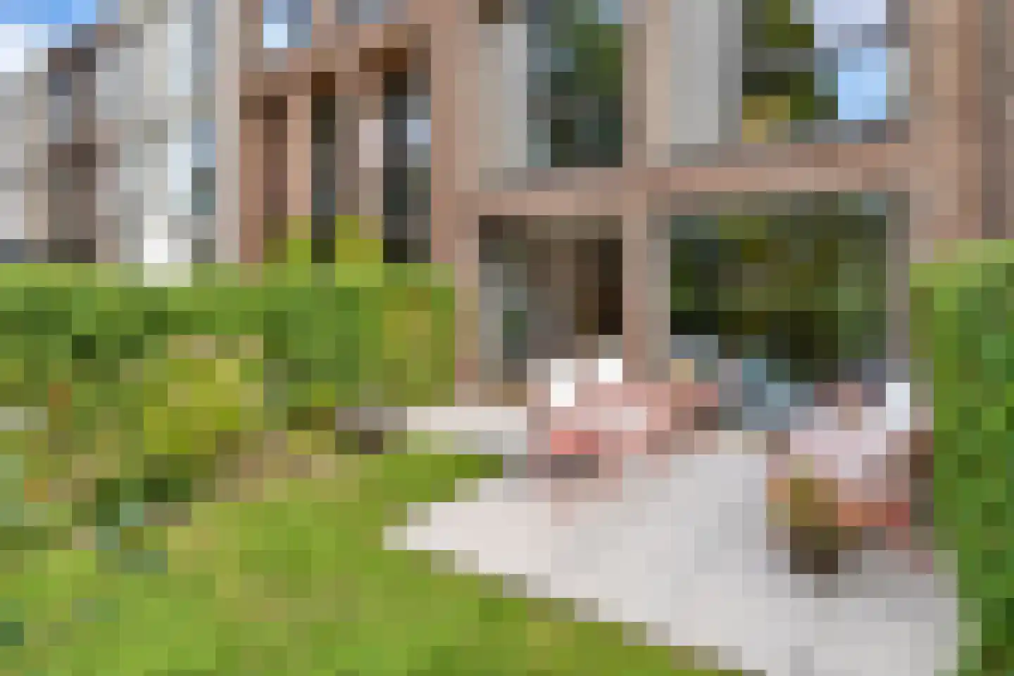Prinses Beatrixlaan 438 Voorburg thumbnail 25