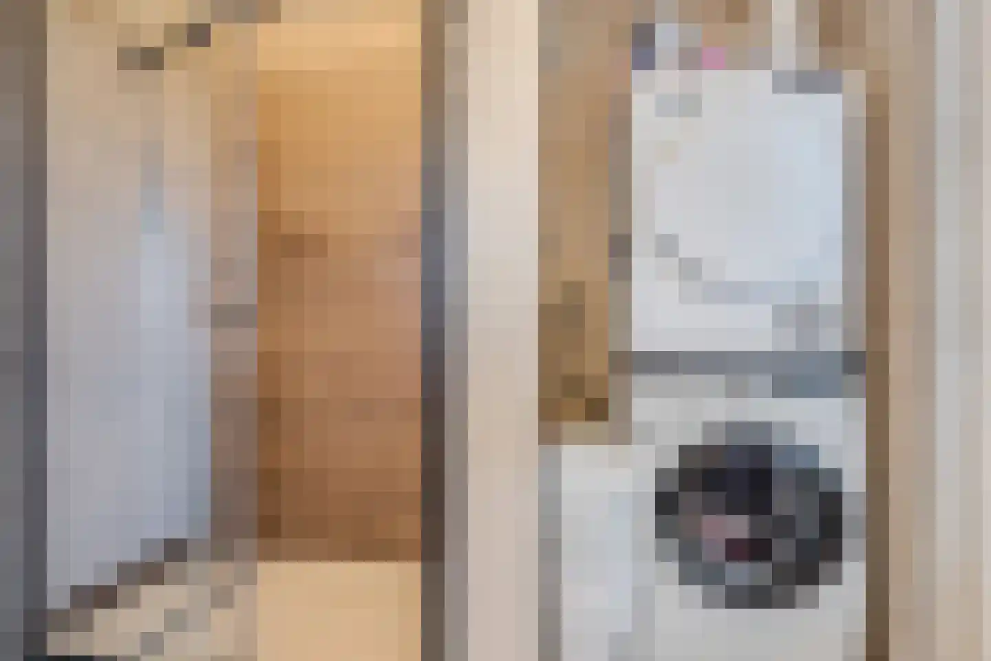 Prinses Beatrixlaan 44 Rijswijk thumbnail 15